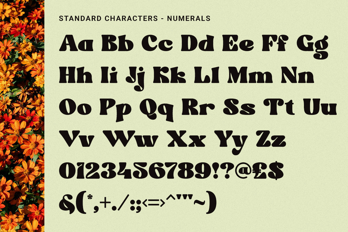 Velocity - Dynamic Retro Display, a Serif Font by Windfall Co (Photo 9 of 11)