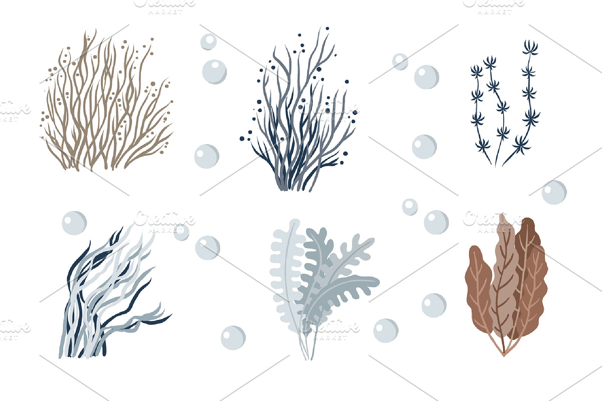 Mermaids and under the Sea clipart, an Object Graphic by KupalinaArt (Photo 4 of 10)