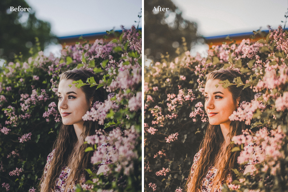 Fall Presets 2019 - Lightroom Preset, an Action Add-On by Maple Visuals (Photo 6 of 10)