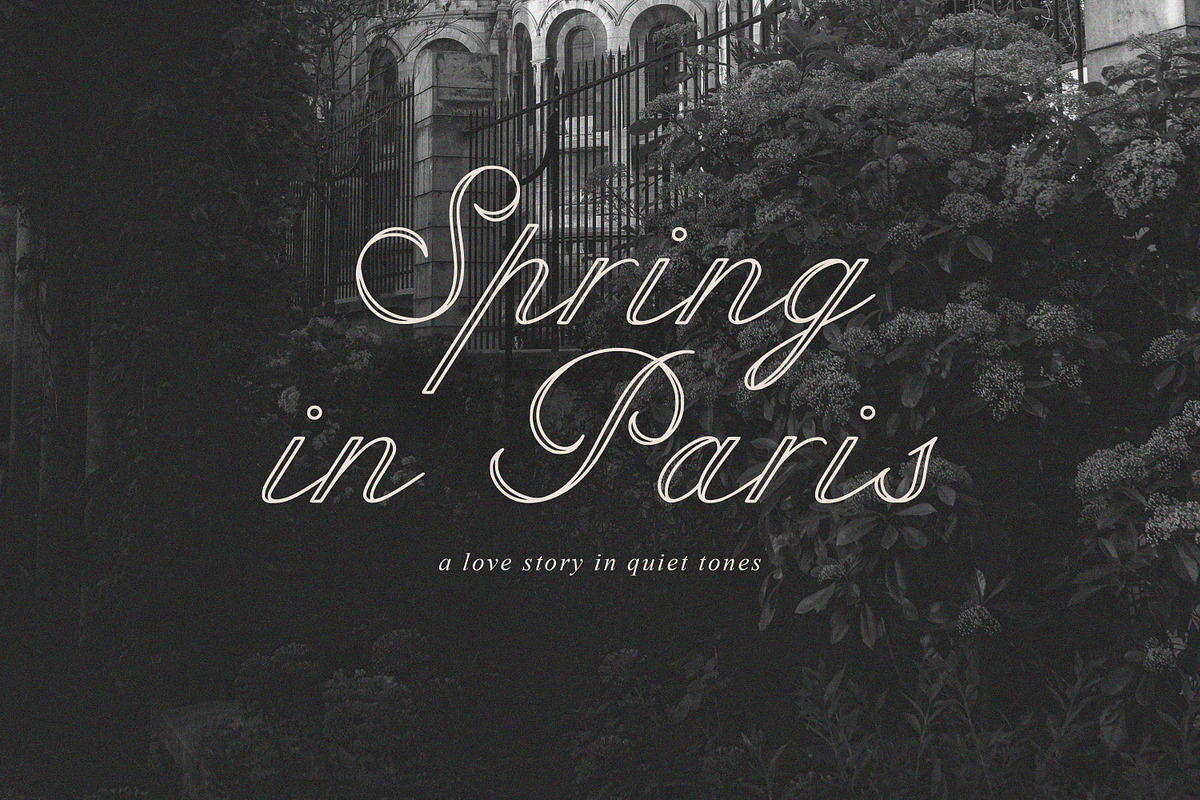 Poem Avenue Elegant Romantic Script, a Script Font by AnMark (Photo 3 of 12)