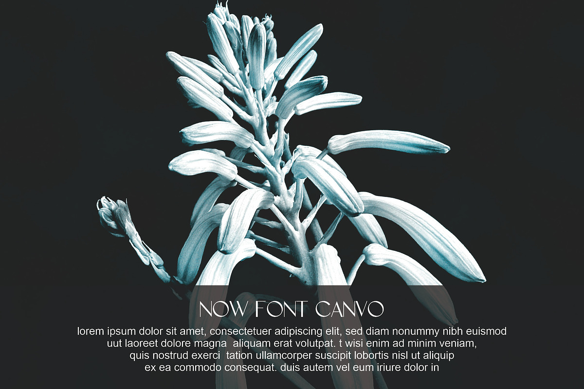 Convo, a Font by riotama85 (Photo 4 of 5)