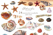 Watercolor whale. Sea underwater set, an Animal Illustration by Julycolor (Thumbnail 9 of 21)