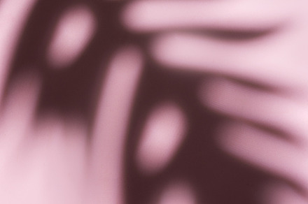 Shadows from palm leaves, a Nature Photo by Olena Rudo