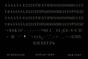 Magisse Display Serif Font, a Serif Font by Storytype Studio (Thumbnail 14 of 15)