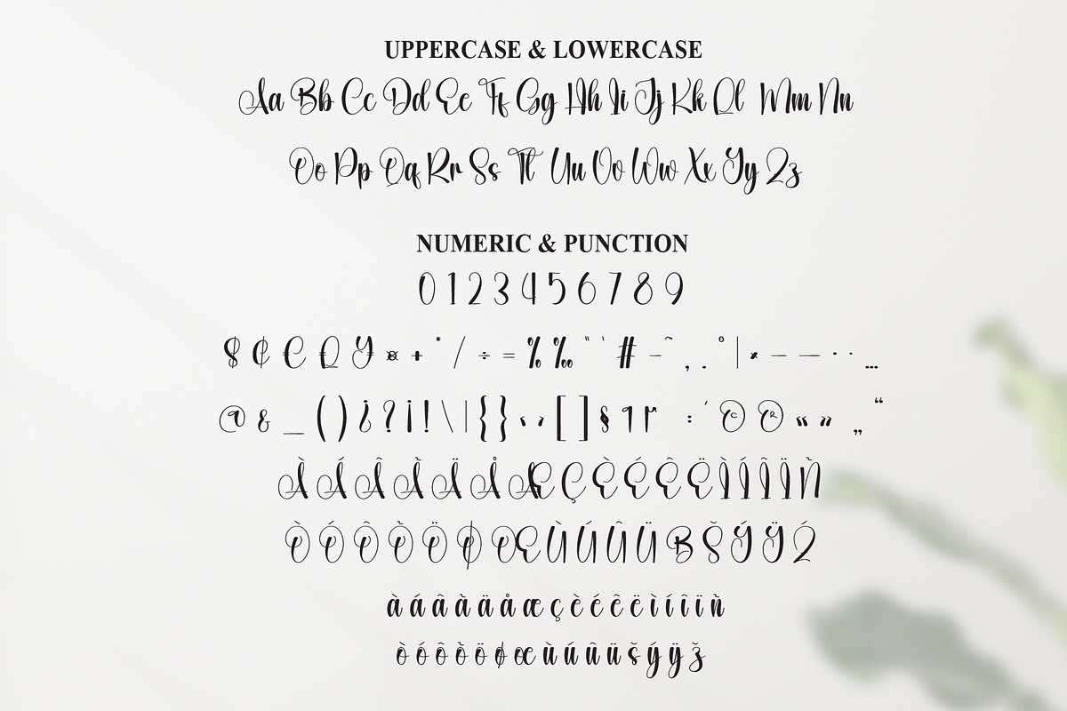 Angela | Script Font, a Handwritten Font by Scratchones (Photo 7 of 9)