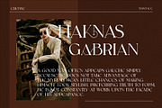 CHOASE Modern Ligature Serif, a Serif Font by Alfinart (Thumbnail 3 of 9)