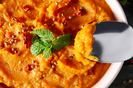 Concept of tasty food, sweet potato puree, a Food & Drink Photo by AtlasStudio
