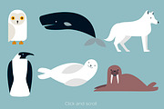 Arctic Animals Vector Collection, an Animal Illustration by Anna Isaeva (Thumbnail 2 of 2)