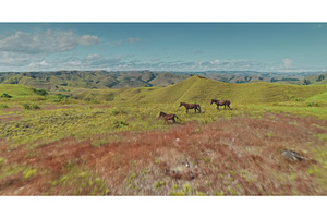 Horses running free in the wild, an Animal Photo by Goinyk