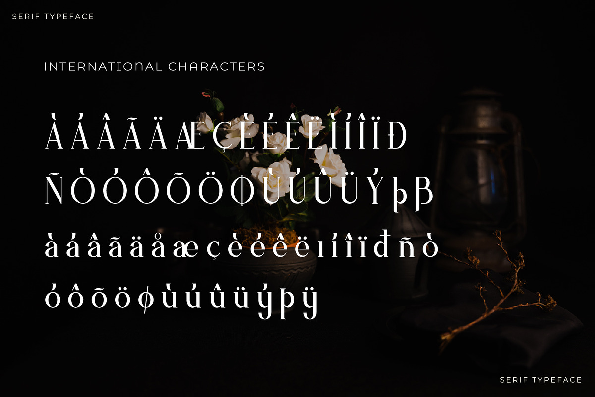 Qristle - Serif Typeface Font, a Serif Font by Rishsketch (Photo 14 of 15)