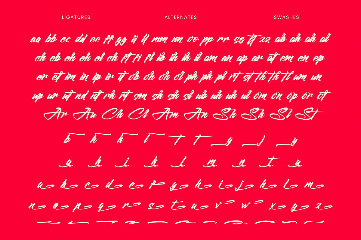 Hunter Anthila Bold Brush Font, a Script Font by stylishtype.co (Photo 16 of 20)