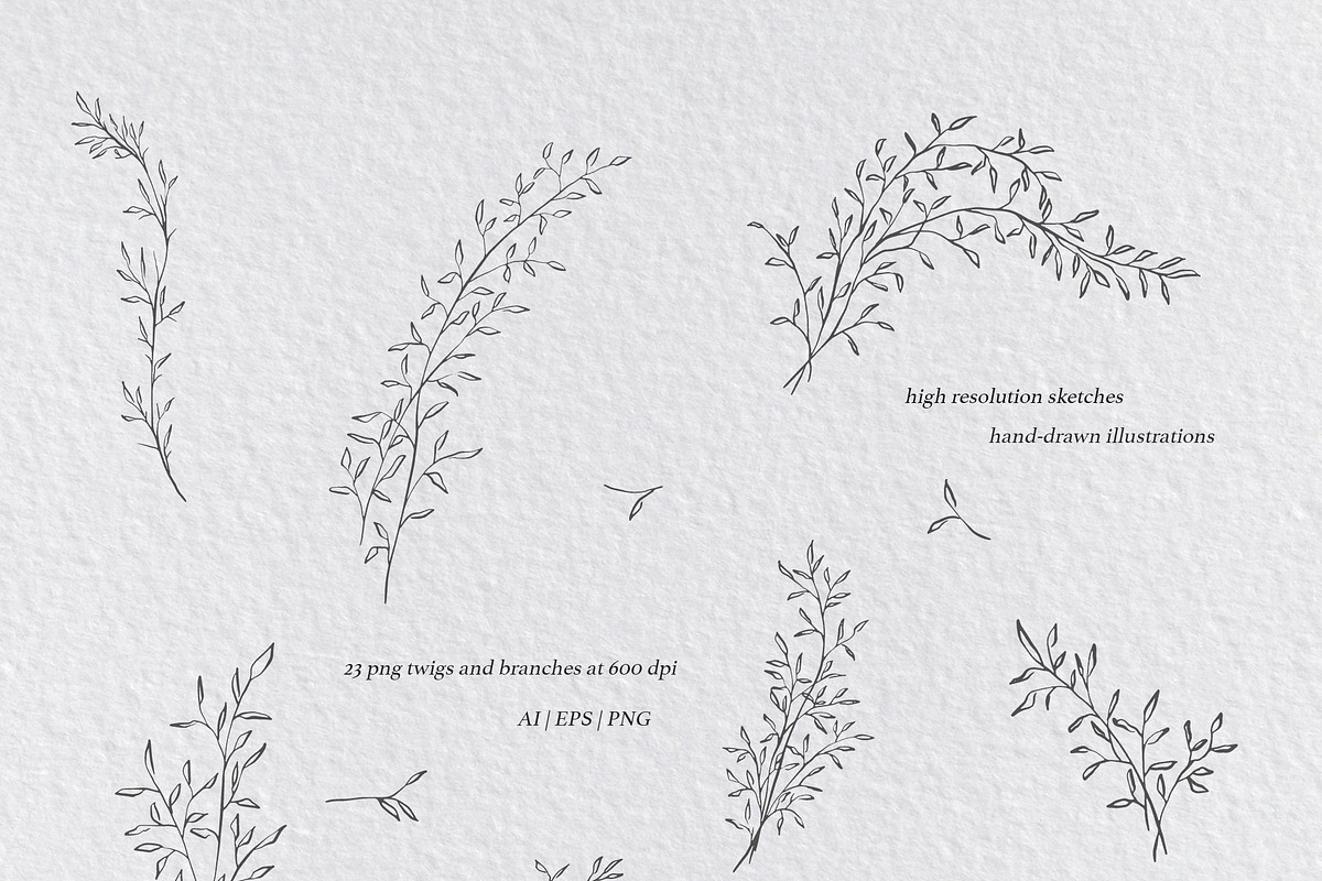 Ardent Elegance - Botanical Set, an Illustration by Backyard Rose (Photo 6 of 13)