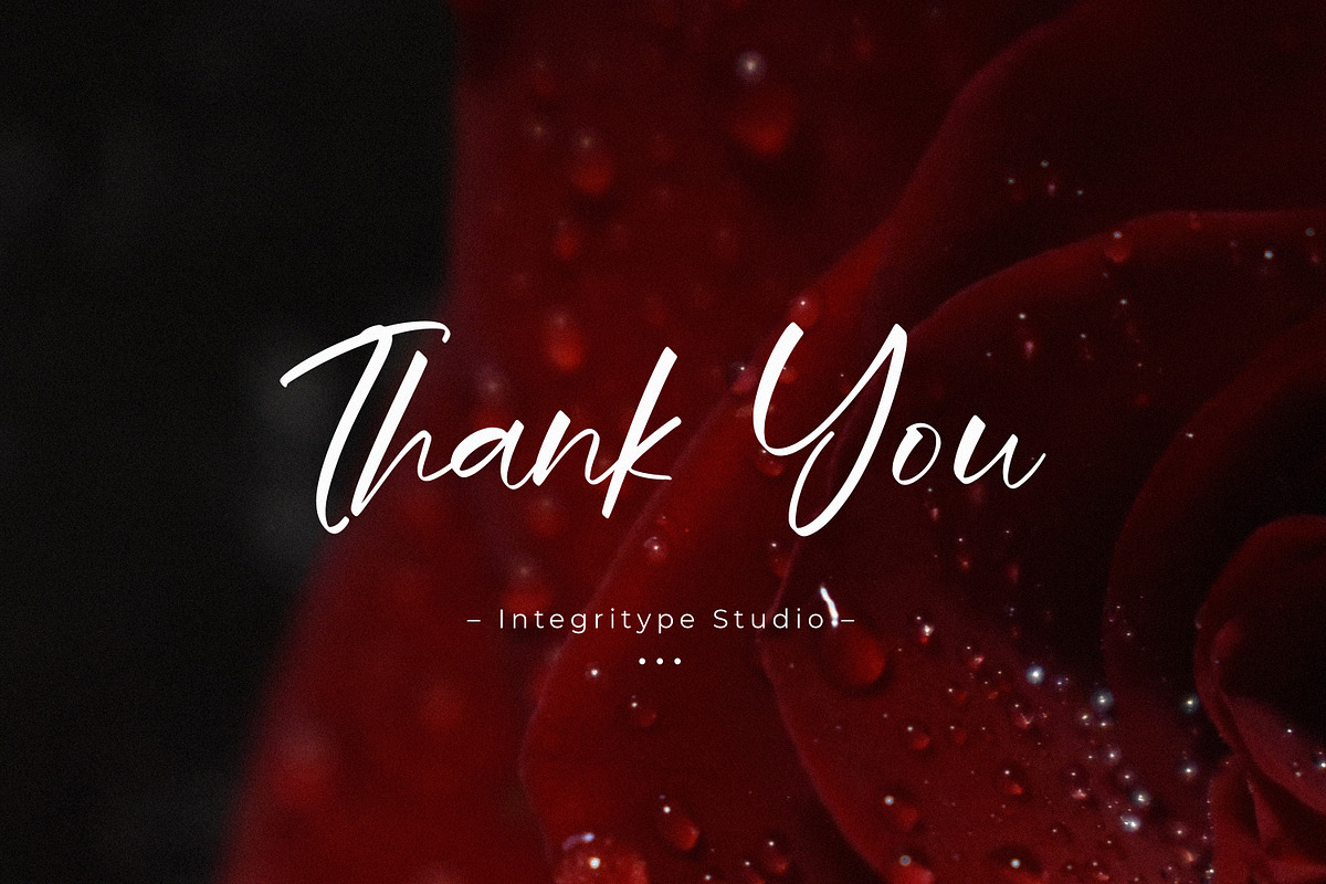 Wegirose, a Script Font by Integritype Studio (Photo 15 of 15)