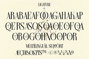 Farqey Denours Serif Font, a Serif Font by Heinzel Std (Thumbnail 4 of 19)