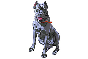 Dog Black Cane Corso SET