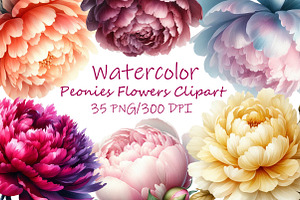Watercolor Peonies Flowers Clipart, an Illustration by Libby Wishes