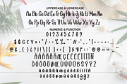 Happy Summer | Script Font, a Script Font by Scratchones (Thumbnail 7 of 8)