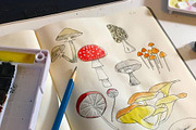 Mighty Mushrooms Watercolor Clip Art, an Illustration by MyNatureGraphics (Thumbnail 3 of 3)