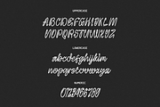 Florence Lanes - Modern Script Font, a Script Font by Typeparties (Thumbnail 8 of 10)