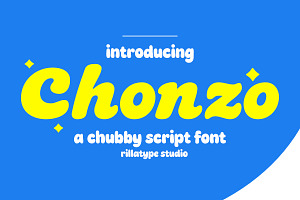 Chonzo Chubby Script Display Font, a Script Font by Rillatype