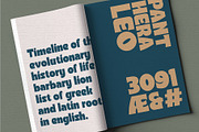 Foligio Font, a Sans Serif Font by Rasiorise Studio (Thumbnail 7 of 13)