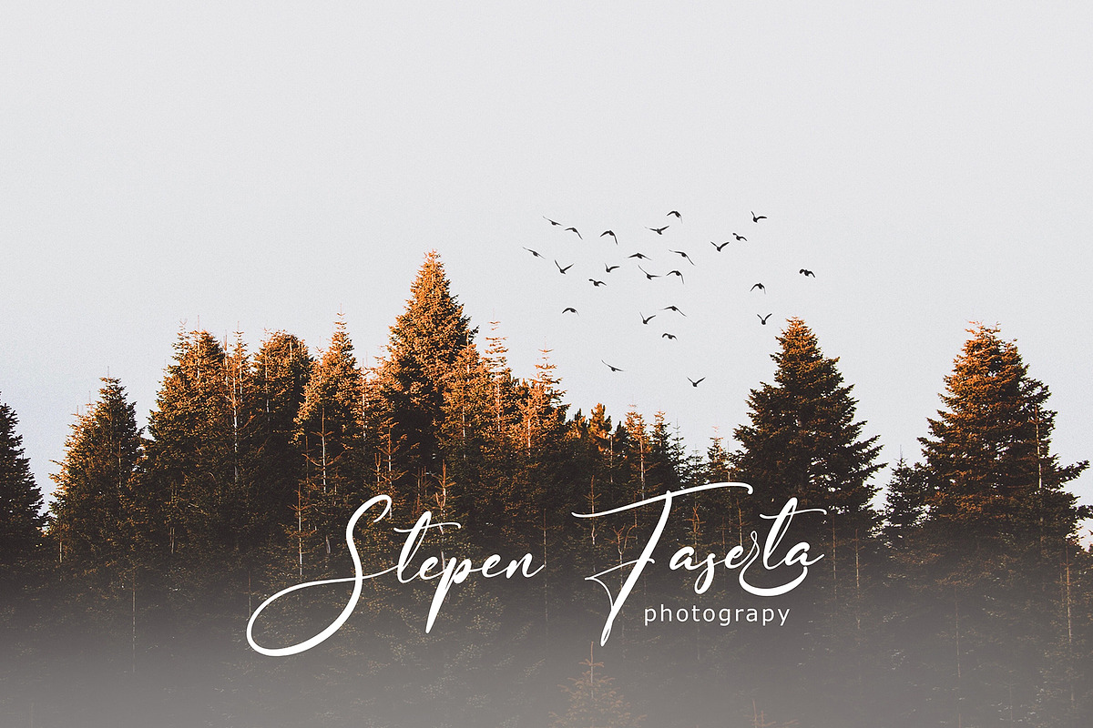 Alpenttera, a Script Font by pineungtype (Photo 7 of 9)