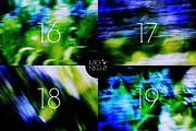 Blurry gradient flower backgrounds, a Background Graphic by LiiaLonn Studio (Thumbnail 6 of 7)
