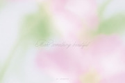 Rosy Blush - Floral Backgrounds, a Texture Graphic by lerinartstudio (Thumbnail 13 of 14)