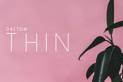 The Sleek Font Bundle, a Sans Serif Font by Zone 6 (Thumbnail 13 of 29)