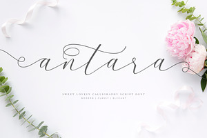 Antara Script Wedding Font