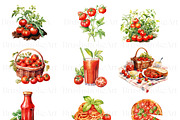 Watercolor Tomato Clipart, Vegetable, a Food Illustration by BrushstrokeArtGB (Thumbnail 3 of 9)