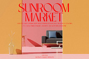 Anemone - Elegant & Modern Sans, a Sans Serif Font by Mikhail Kitsune (Thumbnail 6 of 8)