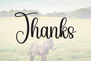 Donkey | Script Font, a Handwritten Font by Scratchones (Thumbnail 9 of 9)