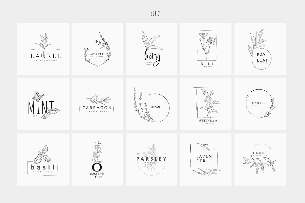 Spices. 30 Premade logos & branches, a Branding & Logo Template by Merfin (Photo 5 of 8)