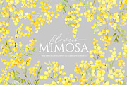 Watercolor Mimosa Branches Flowers, a Decorative Illustration by GraphicsDish (Thumbnail 2 of 5)