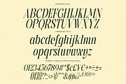 Grevila - Condensed Serif Font, a Serif Font by Say Studio (Thumbnail 10 of 10)