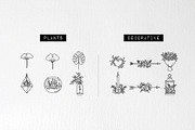 60 Plant & Floral Icons - Flower, an Outline Icon by Hatch Design Workshop (Thumbnail 4 of 11)