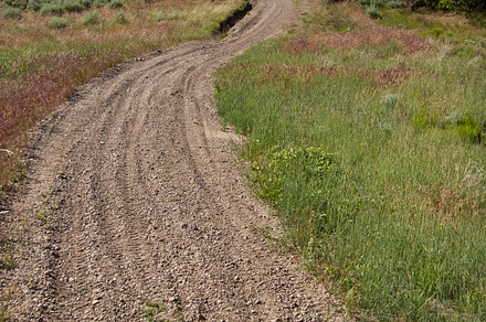 Dirt Trail (Photo)