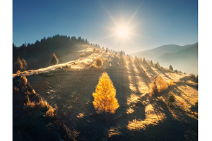 Aerial view of beautiful orange, a Nature Photo by den-belitsky