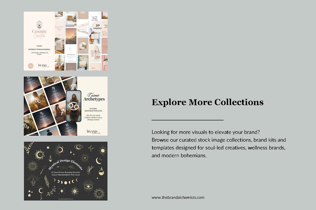 Vintage Vibes Brand Kit Vol 2, a Branding & Logo Template by The Brand Alchemists (Photo 10 of 10)