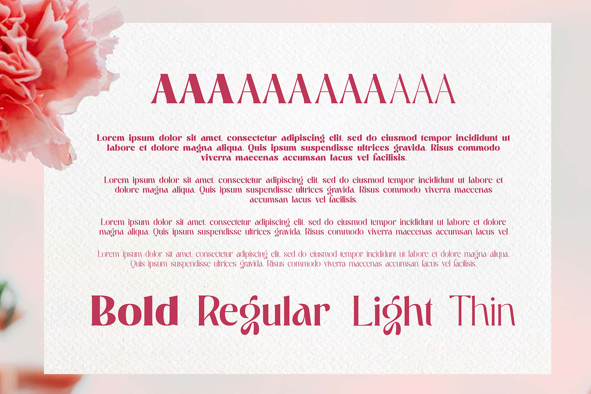 Altaya Romance | Romantic Display, a Serif Font by Ekahermawan (Photo 2 of 15)