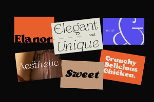 Elanor - Retro Font Classy Elegant