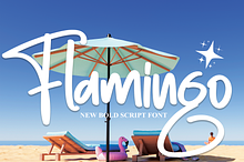 Flamingo | Script Font