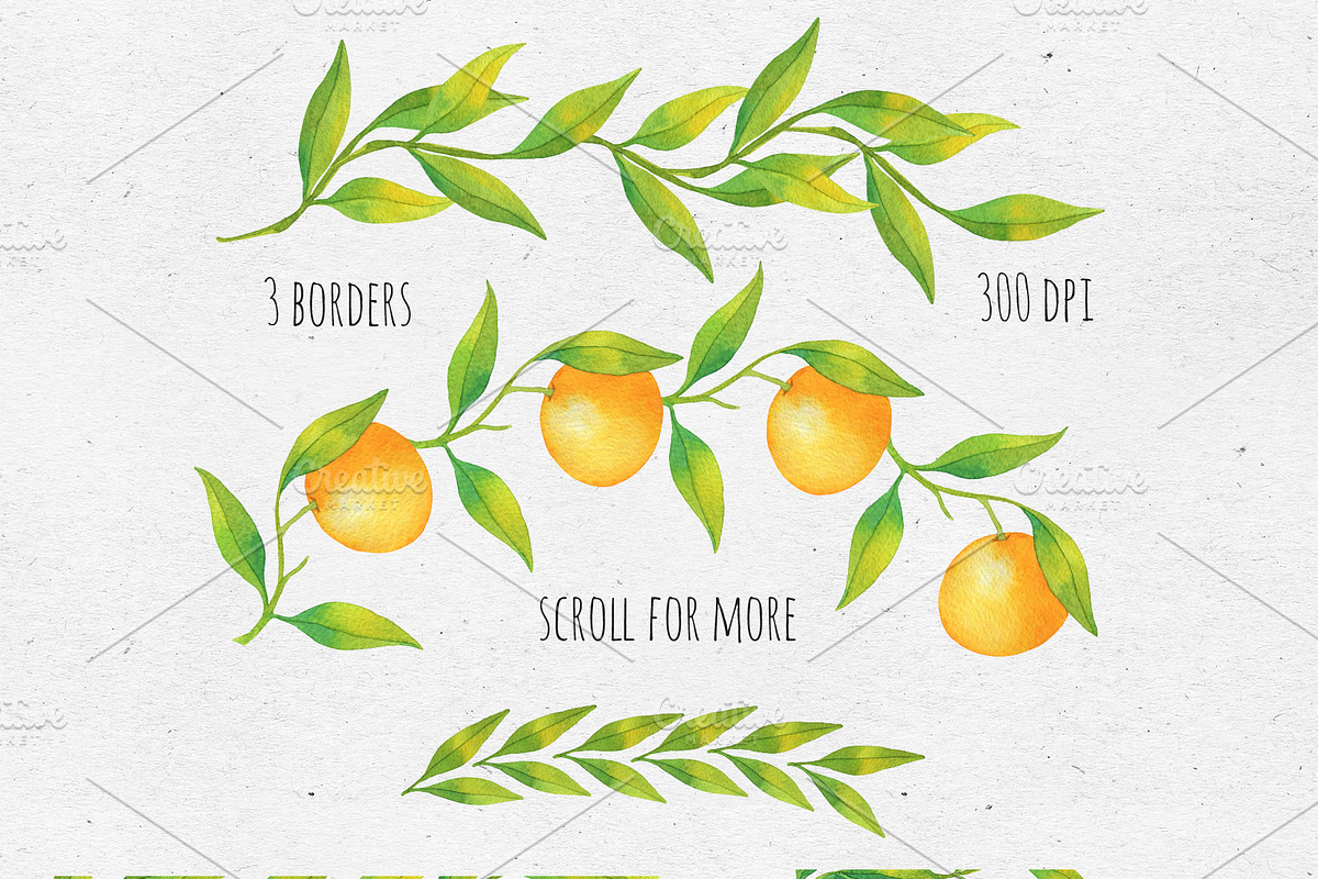 Tangerines. Watercolor collection, a Decorative Illustration by Maria's little shop (Photo 3 of 11)