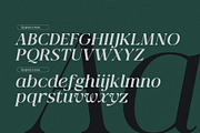 Qlaxe Serif – Update Italics, a Serif Font by Nollev (Thumbnail 5 of 14)