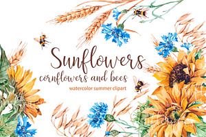 Watercolor sunflowers, cornflowers