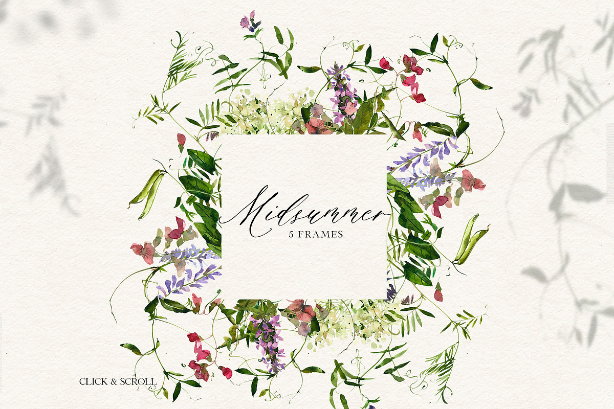Midsummer - field flowers clipart, a Decorative Illustration by whiteheartdesign (Photo 4 of 16)