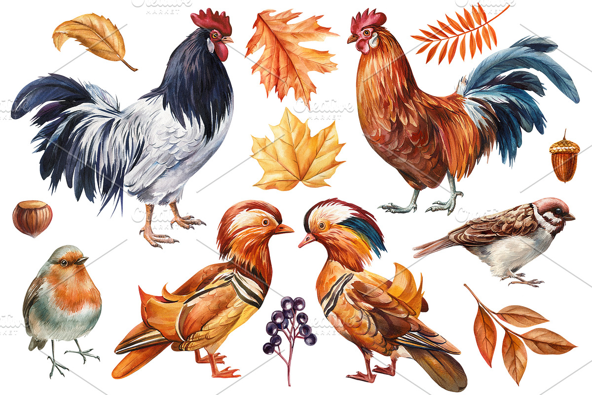 Harvest Thanksgiving fall clipart, a Decorative Illustration by Hanna Hryharenka (Photo 2 of 20)