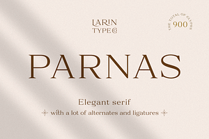 Parnas, a Serif Font by Larin Type Co.