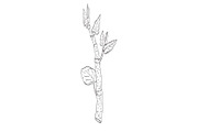 Japanese Knotweed Wild Plant Drawing, a Decorative Illustration by patrimonio (Thumbnail 1 of 3)